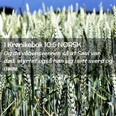 Picture 02 - 1 Krønikebok 10:5 NORSK - Og da våbensvennen så at Saul var død, styrtet - Bible Verse Picture