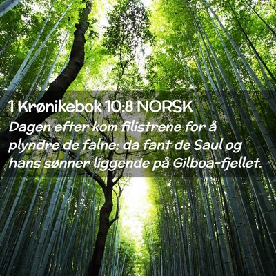 Picture 02 - 1 Krønikebok 10:8 NORSK - Dagen efter kom filistrene for å plyndre de - Bible Verse Picture