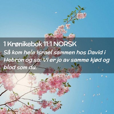 Picture 02 - 1 Krønikebok 11:1 NORSK - Så kom hele Israel sammen hos David i Hebron og - Bible Verse Picture