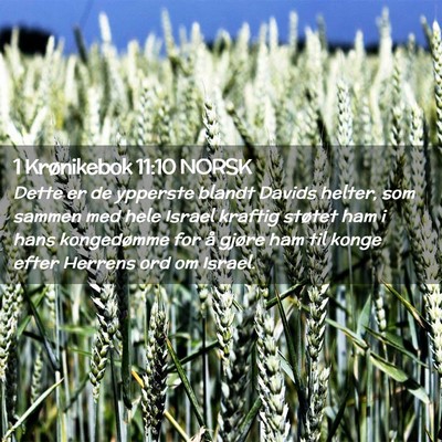Picture 02 - 1 Krønikebok 11:10 NORSK - Dette er de ypperste blandt Davids helter, som - Bible Verse Picture