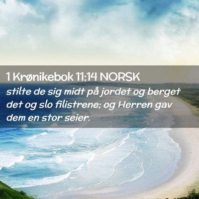 Picture 02 - 1 Krønikebok 11:14 NORSK - stilte de sig midt på jordet og berget det og - Bible Verse Picture
