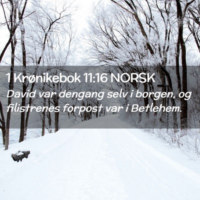 Picture 02 - 1 Krønikebok 11:16 NORSK - David var dengang selv i borgen, og filistrenes - Bible Verse Picture