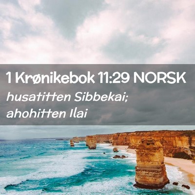 Picture 02 - 1 Krønikebok 11:29 NORSK - husatitten Sibbekai; ahohitten - Bible Verse Picture