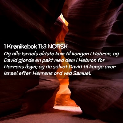 Picture 02 - 1 Krønikebok 11:3 NORSK - Og alle Israels eldste kom til kongen i Hebron, - Bible Verse Picture