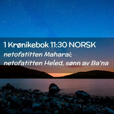 Picture 02 - 1 Krønikebok 11:30 NORSK - netofatitten Maharai; netofatitten Heled, sønn - Bible Verse Picture