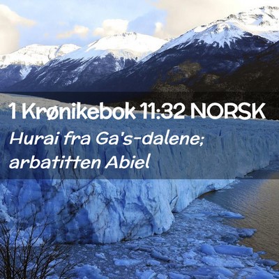 Picture 02 - 1 Krønikebok 11:32 NORSK - Hurai fra Ga's-dalene; arbatitten - Bible Verse Picture