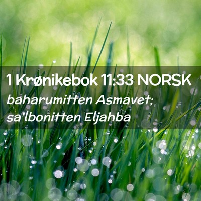 Picture 02 - 1 Krønikebok 11:33 NORSK - baharumitten Asmavet; sa'lbonitten - Bible Verse Picture