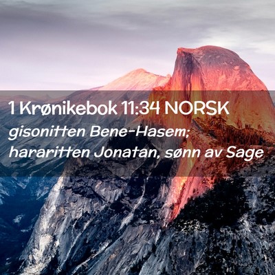 Picture 02 - 1 Krønikebok 11:34 NORSK - gisonitten Bene-Hasem; hararitten Jonatan, sønn - Bible Verse Picture