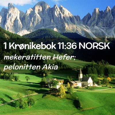 Picture 02 - 1 Krønikebok 11:36 NORSK - mekeratitten Hefer; pelonitten - Bible Verse Picture