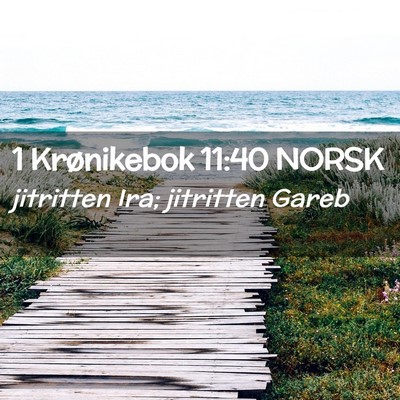Picture 02 - 1 Krønikebok 11:40 NORSK - jitritten Ira; jitritten - Bible Verse Picture