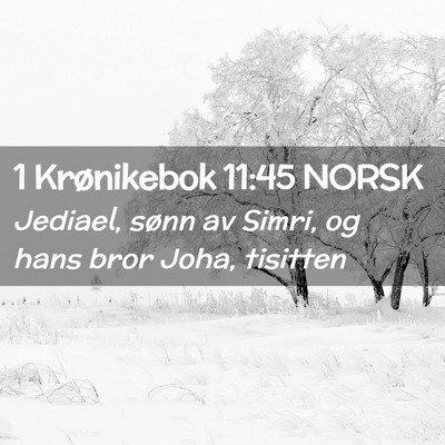 Picture 02 - 1 Krønikebok 11:45 NORSK - Jediael, sønn av Simri, og hans bror Joha, - Bible Verse Picture