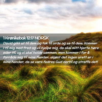 Picture 02 - 1 Krønikebok 12:17 NORSK - David gikk ut til dem og tok til orde og sa til - Bible Verse Picture