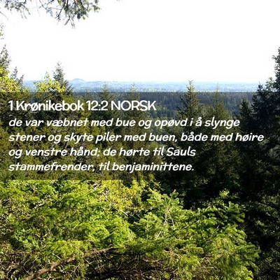 Picture 02 - 1 Krønikebok 12:2 NORSK - de var væbnet med bue og opøvd i å slynge - Bible Verse Picture