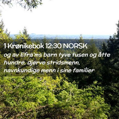 Picture 02 - 1 Krønikebok 12:30 NORSK - og av Efra'ms barn tyve tusen og åtte hundre, - Bible Verse Picture