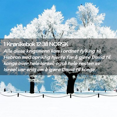 Picture 02 - 1 Krønikebok 12:38 NORSK - Alle disse krigsmenn kom i ordnet fylking til - Bible Verse Picture
