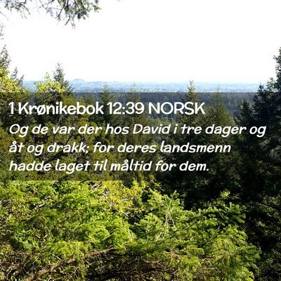Picture 02 - 1 Krønikebok 12:39 NORSK - Og de var der hos David i tre dager og åt og - Bible Verse Picture