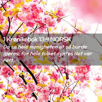 Picture 02 - 1 Krønikebok 13:4 NORSK - Da sa hele menigheten at så burde gjøres; for - Bible Verse Picture