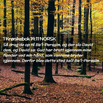 Picture 02 - 1 Krønikebok 14:11 NORSK - Så drog de op til Ba'l-Perasim, og der slo David - Bible Verse Picture