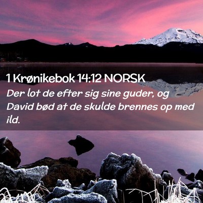 Picture 02 - 1 Krønikebok 14:12 NORSK - Der lot de efter sig sine guder, og David bød at - Bible Verse Picture