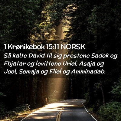 Picture 02 - 1 Krønikebok 15:11 NORSK - Så kalte David til sig prestene Sadok og Ebjatar - Bible Verse Picture