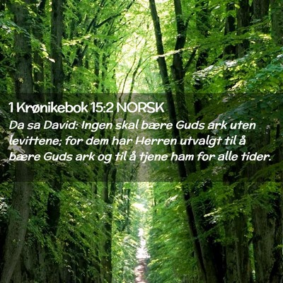 Picture 02 - 1 Krønikebok 15:2 NORSK - Da sa David: Ingen skal bære Guds ark uten - Bible Verse Picture
