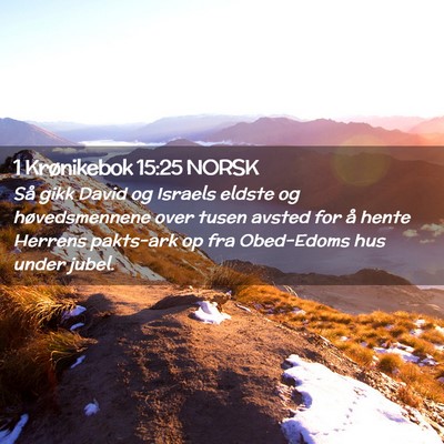 Picture 02 - 1 Krønikebok 15:25 NORSK - Så gikk David og Israels eldste og - Bible Verse Picture