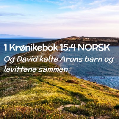 Picture 02 - 1 Krønikebok 15:4 NORSK - Og David kalte Arons barn og levittene - Bible Verse Picture