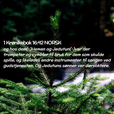 Picture 02 - 1 Krønikebok 16:42 NORSK - og hos dem(-)Heman og Jedutun(-)var der trompeter - Bible Verse Picture