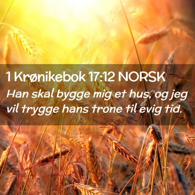 Picture 02 - 1 Krønikebok 17:12 NORSK - Han skal bygge mig et hus, og jeg vil trygge hans - Bible Verse Picture