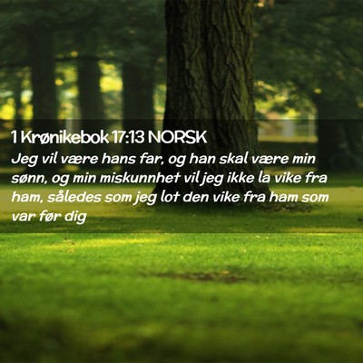 Picture 02 - 1 Krønikebok 17:13 NORSK - Jeg vil være hans far, og han skal være min - Bible Verse Picture