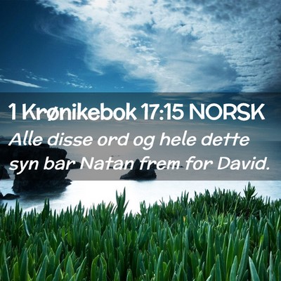 Picture 02 - 1 Krønikebok 17:15 NORSK - Alle disse ord og hele dette syn bar Natan frem - Bible Verse Picture