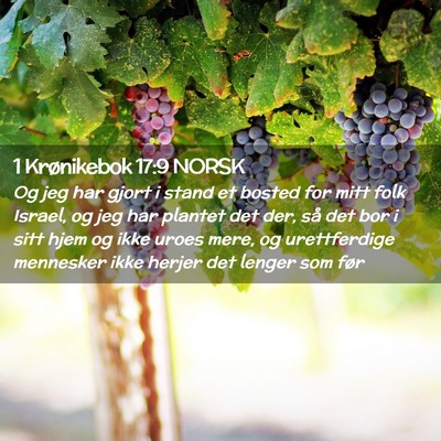 Picture 02 - 1 Krønikebok 17:9 NORSK - Og jeg har gjort i stand et bosted for mitt folk - Bible Verse Picture