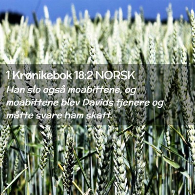 Picture 02 - 1 Krønikebok 18:2 NORSK - Han slo også moabittene, og moabittene blev - Bible Verse Picture