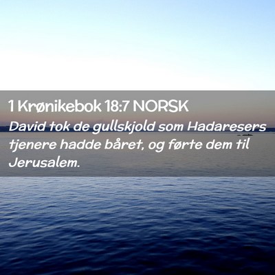 Picture 02 - 1 Krønikebok 18:7 NORSK - David tok de gullskjold som Hadaresers tjenere - Bible Verse Picture