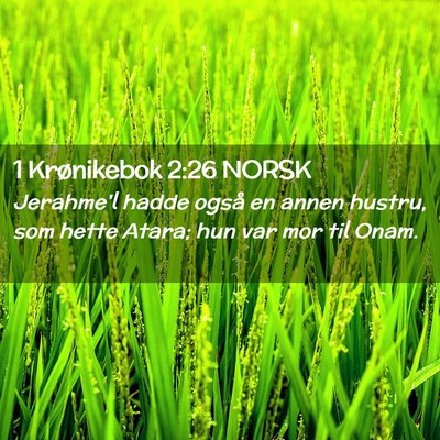 Picture 02 - 1 Krønikebok 2:26 NORSK - Jerahme'l hadde også en annen hustru, som hette - Bible Verse Picture