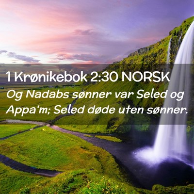 Picture 02 - 1 Krønikebok 2:30 NORSK - Og Nadabs sønner var Seled og Appa'm; Seled - Bible Verse Picture