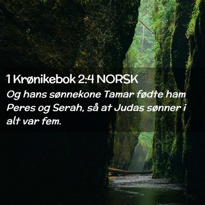 Picture 02 - 1 Krønikebok 2:4 NORSK - Og hans sønnekone Tamar fødte ham Peres og - Bible Verse Picture