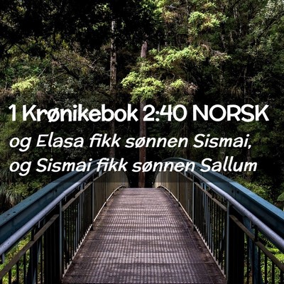Picture 02 - 1 Krønikebok 2:40 NORSK - og Elasa fikk sønnen Sismai, og Sismai fikk - Bible Verse Picture