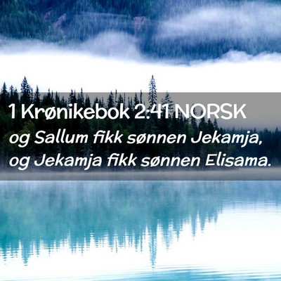 Picture 02 - 1 Krønikebok 2:41 NORSK - og Sallum fikk sønnen Jekamja, og Jekamja fikk - Bible Verse Picture