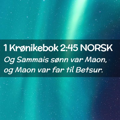 Picture 02 - 1 Krønikebok 2:45 NORSK - Og Sammais sønn var Maon, og Maon var far til - Bible Verse Picture