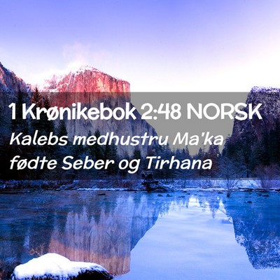 Picture 02 - 1 Krønikebok 2:48 NORSK - Kalebs medhustru Ma'ka fødte Seber og - Bible Verse Picture