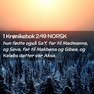Picture 02 - 1 Krønikebok 2:49 NORSK - hun fødte også Sa'f, far til Madmanna, og Seva, - Bible Verse Picture