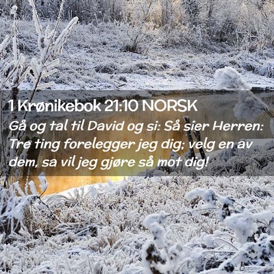 Picture 02 - 1 Krønikebok 21:10 NORSK - Gå og tal til David og si: Så sier Herren: Tre - Bible Verse Picture