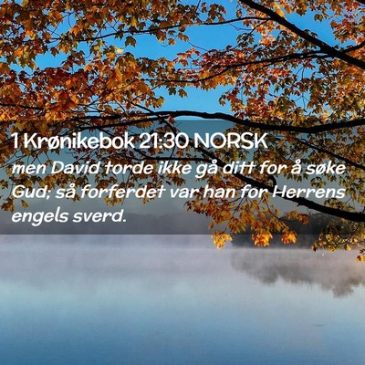 Picture 02 - 1 Krønikebok 21:30 NORSK - men David torde ikke gå ditt for å søke Gud; - Bible Verse Picture