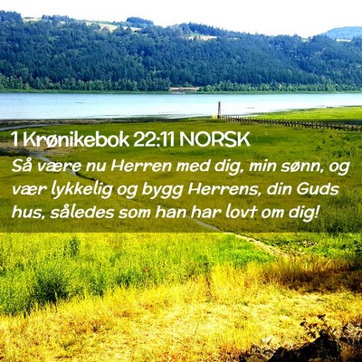 Picture 02 - 1 Krønikebok 22:11 NORSK - Så være nu Herren med dig, min sønn, og vær - Bible Verse Picture