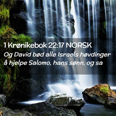 Picture 02 - 1 Krønikebok 22:17 NORSK - Og David bød alle Israels høvdinger å hjelpe - Bible Verse Picture