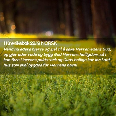 Picture 02 - 1 Krønikebok 22:19 NORSK - Vend nu eders hjerte og sjel til å søke Herren - Bible Verse Picture