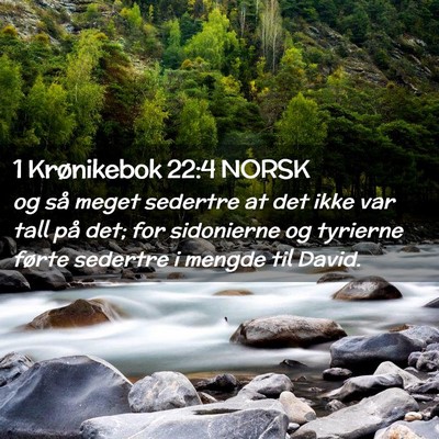 Picture 02 - 1 Krønikebok 22:4 NORSK - og så meget sedertre at det ikke var tall på - Bible Verse Picture