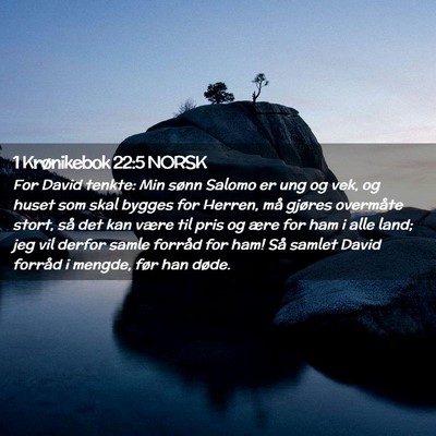 Picture 02 - 1 Krønikebok 22:5 NORSK - For David tenkte: Min sønn Salomo er ung og vek, - Bible Verse Picture