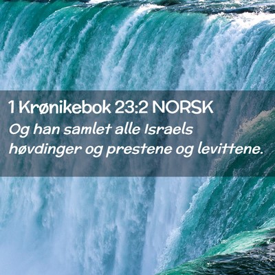 Picture 02 - 1 Krønikebok 23:2 NORSK - Og han samlet alle Israels høvdinger og prestene - Bible Verse Picture